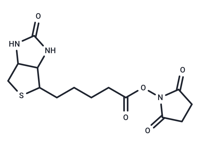 (+)生物素-N-琥珀酰亞胺基酯,Biotin NHS