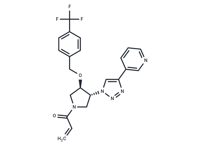 化合物 TEAD-IN-3,TEAD-IN-3