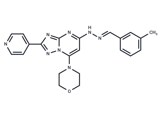 化合物 PIKfyve-IN-2,PIKfyve-IN-2