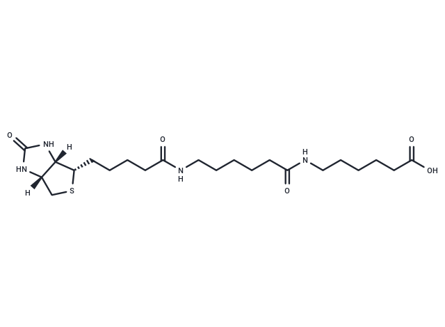 化合物Biotin-C5-amino-C5-amino,Biotin-C5-amino-C5-amino