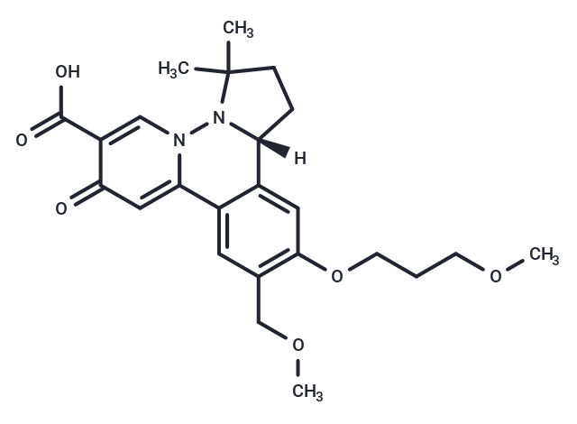 化合物 HBV-IN-19,HBV-IN-19