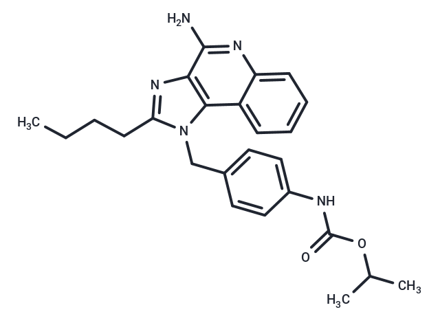 化合物 TLR7 agonist 16,TLR7 agonist 16