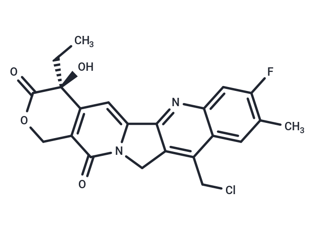 化合物 9-Chloromethyl-10-hydroxy-11-F-Camptothecin,9-Chloromethyl-10-hydroxy-11-F-Camptothecin