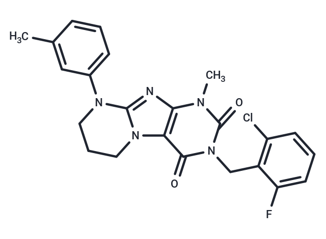 化合物 KRAS G12C inhibitor 29,KRAS G12C inhibitor 29