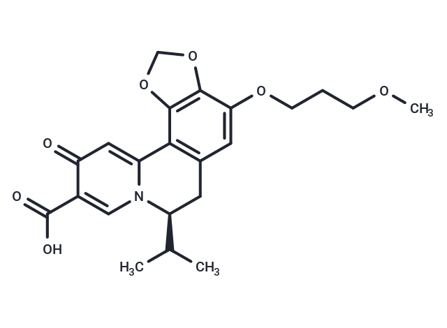 化合物 HBV-IN-13,HBV-IN-13