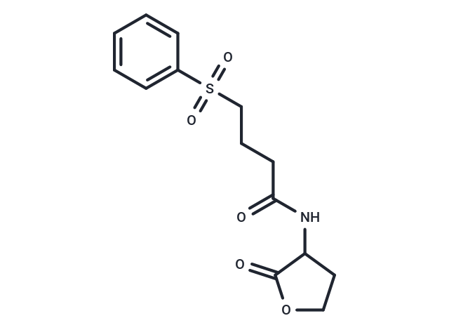 化合物 PqsR/LasR-IN-3,PqsR/LasR-IN-3