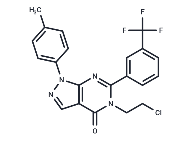 化合物 Antifungal agent 13,Antifungal agent 13