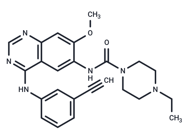 化合物 Epitinib,Epitinib