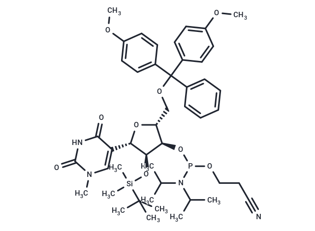 5'-DMT-2'-O-TBDMS-N1-甲基-假尿苷-CE-亞磷酰胺,5'-DMT-2'-O-TBDMS-N1-Methyl-PseudoUridine-CE-Phosphoramidite