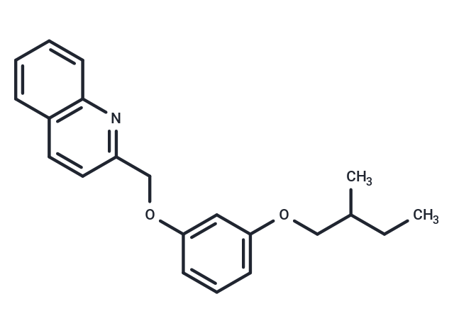 化合物 GPBAR1-IN-3,GPBAR1-IN-3