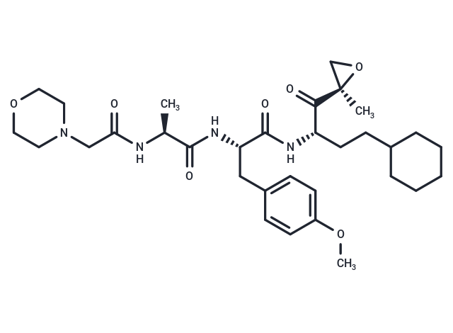 化合物 Proteasome β2c/i-IN-1,Proteasome β2c/i-IN-1