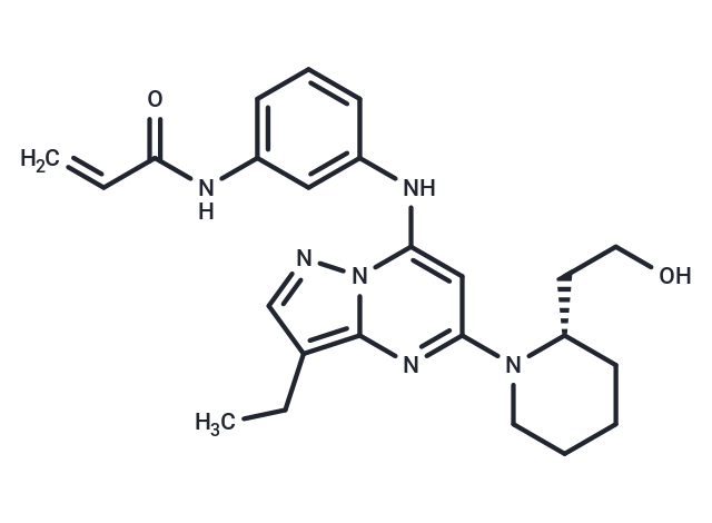 CDK12 抑制劑 E9,CDK12-IN-E9