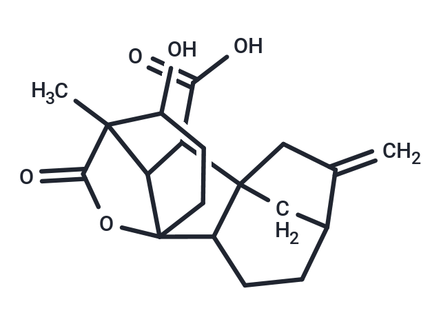 化合物 Gibberellin A4,Gibberellin A4