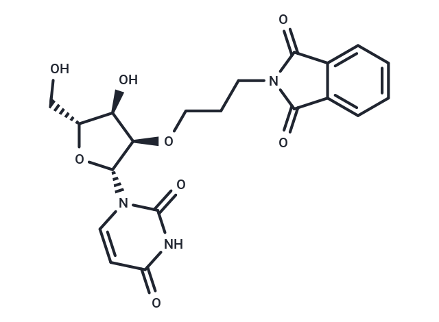 化合物 2’-O-Phthalimidopropyl uridine,2’-O-Phthalimidopropyl uridine