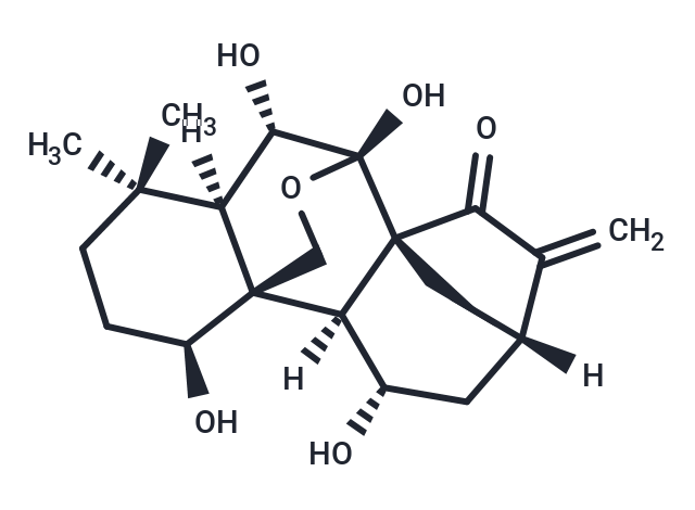 拉西多寧,Lasiodonin