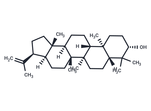 化合物 3β-Hydroxy-hop-22(29)-ene,3β-Hydroxy-hop-22(29)-ene