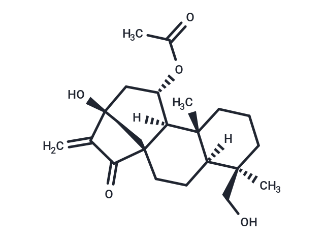 葉含乙酰癭花香茶菜素 A,Rosthornin A