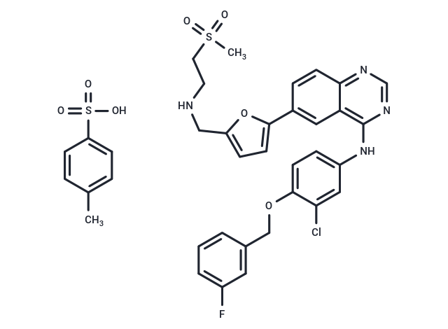 化合物 Lapatinib tosylate,Lapatinib tosylate