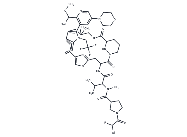 化合物 KRAS G12C inhibitor 58,KRAS G12C inhibitor 58