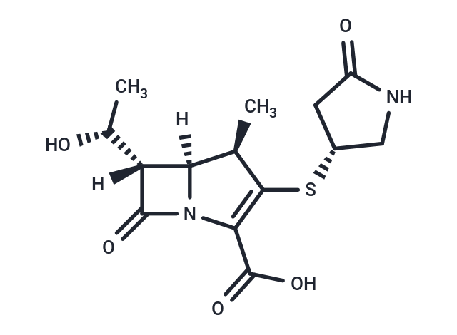化合物 tacapenem,tacapenem