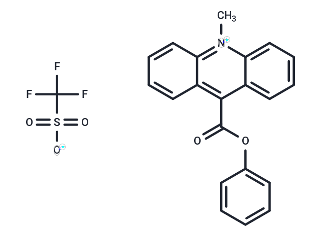 9-[(苯氧基)羰基]-10甲基三氟甲酰胺磺酸鹽,10-methyl-9-(phenoxycarbonyl) Acridinium