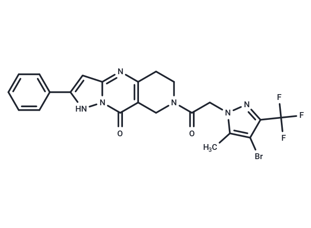 化合物 PAT1inh-B01,PAT1inh-B01