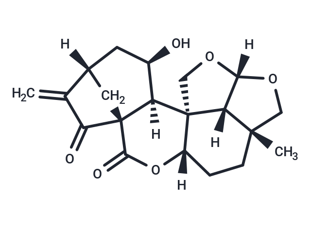 黃花香茶菜 B,Sculponeatin B