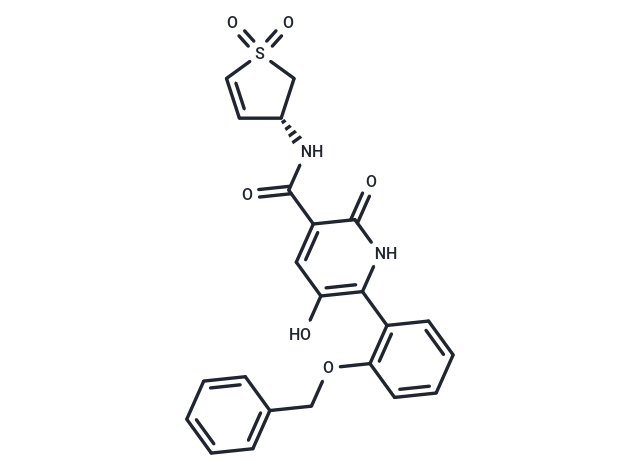 化合物 WRN inhibitor 5,WRN inhibitor 5