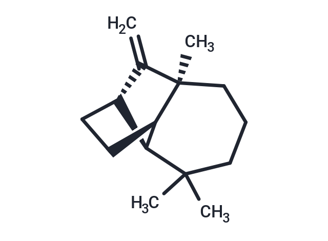 長(zhǎng)葉烯,(+)-Longifolene