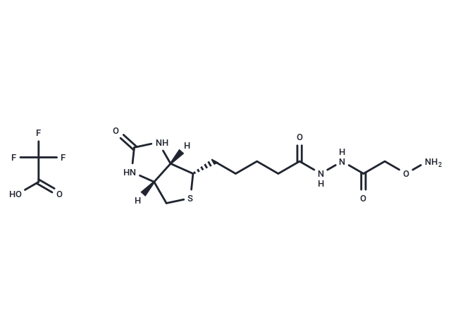 ARP 醛反應(yīng)探針 三氟乙酸鹽,Aldehyde Reactive Probe TFA