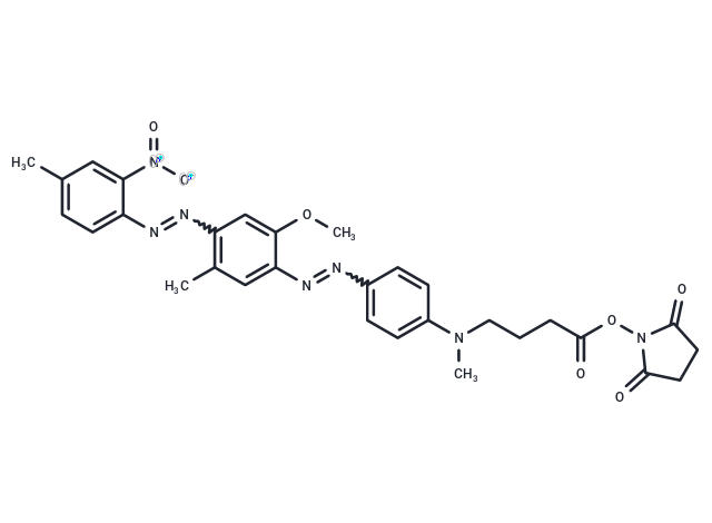 化合物 BHQ-1 NHS,BHQ-1 NHS