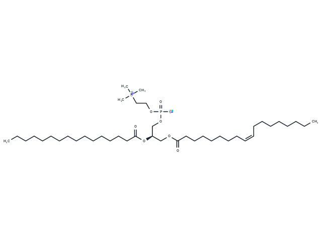 化合物 1-Oleoyl-2-palmitoyl-sn-glycero-3-PC,1-Oleoyl-2-palmitoyl-sn-glycero-3-PC