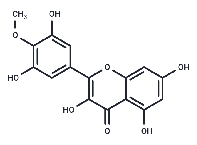 化合物Mearnsetin,Mearnsetin