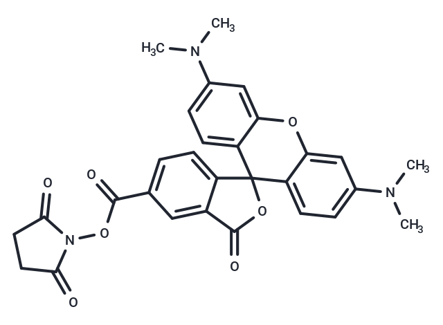 NHS-5(6)Carboxyrhodamine,NHS-5(6)Carboxyrhodamine