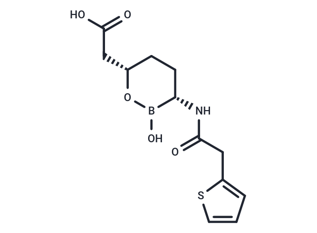 法硼巴坦,Vaborbactam