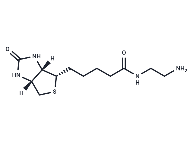 乙二胺生物素,Biotin-EDA