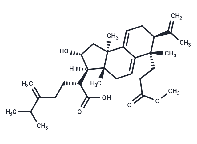 茯苓酸AM,Poricoic acid AM