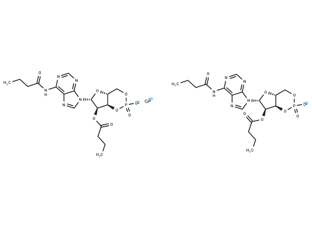 化合物 Bucladesine calcium,Bucladesine calcium