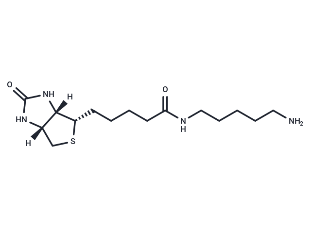 5-(氨基維生素)戊胺,5-(Biotinamido)pentylamine