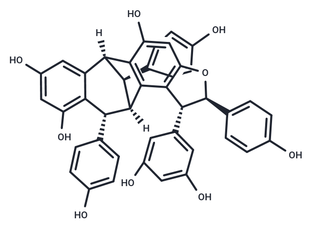 化合物 Ampelopsin G,Ampelopsin G