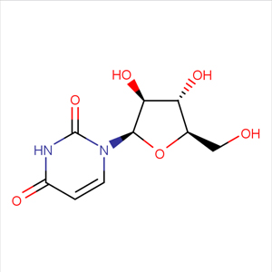 阿糖尿苷,Uracil 1-β-D-arabinofuranoside