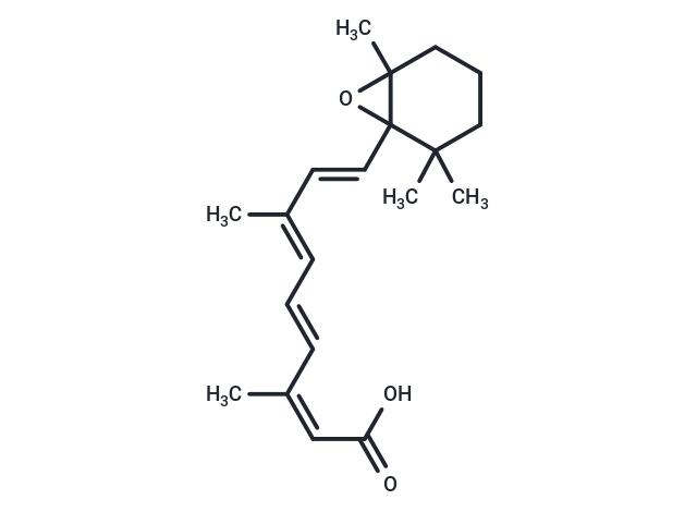 5,6-epoxy-13-cis Retinoic Acid,5,6-epoxy-13-cis Retinoic Acid