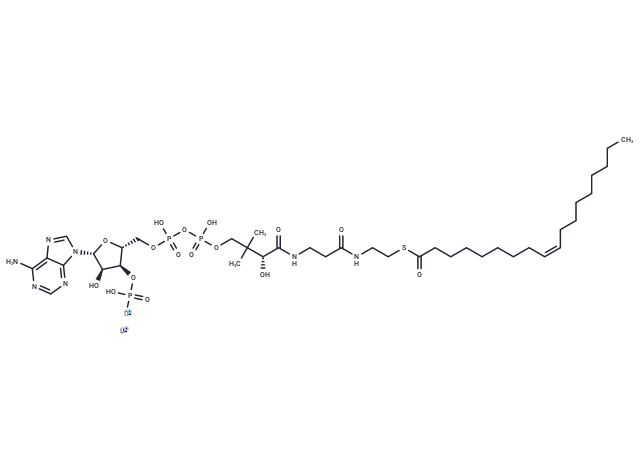 化合物 Oleoyl coenzyme A lithium,Oleoyl coenzyme A lithium