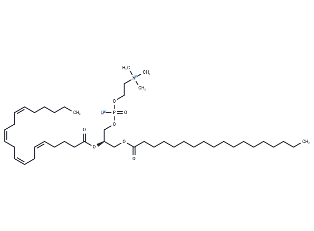 L-α-磷脂酰胆碱-β-花生四烯酰-γ-硬脂酰,1-Stearoyl-2-arachidonoyl-sn-glycero-3-phosphocholine