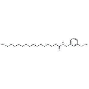 N-(3-甲氧基芐基)十六碳酰胺,N-(3-Methoxybenzyl)Palmitamide