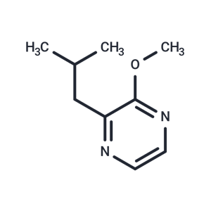 化合物 2-Isobutyl-3-methoxypyrazine|T64798