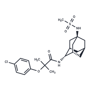 化合物 JNJ 303|T7653|TargetMol