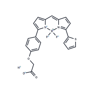 化合物 BDP TR carboxylic acid|T82904|TargetMol