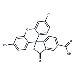 5-羧基熒光素,5-FAM