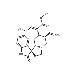 去氢钩藤碱|T6S0655